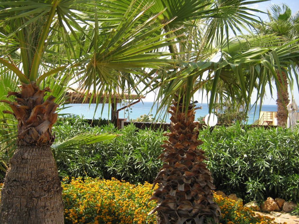 Villa Baia Di Cornino Custonaci Quarto foto